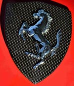 Ferrari carbon zijscherm logo schild 458 488 F8 F12 812, Verzenden