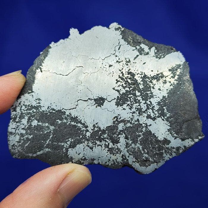 Siliciumgesteente IJzermeteoriet Campo del Cielo, Verzamelen, Mineralen en Fossielen