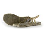 Ilse Jacobsen Sandalen in maat 38 Goud, Kleding | Dames, Overige kleuren, Verzenden, Sandalen of Muiltjes, Ilse Jacobsen