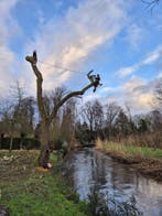 BBM Boomverzorging voor al uw kap, snoei en freeswerk., Tuinonderhoud of Snoeiwerk