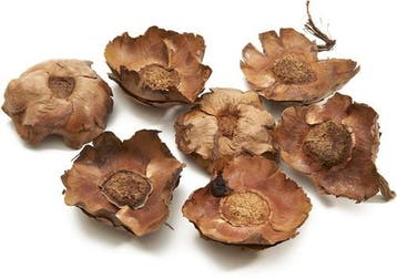 Coco flower Naturel ca. 250 gram, Ophalen of Verzenden, Nieuw