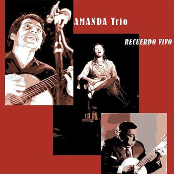 cd - amanda - RECUERDO VIVO (nieuw), Verzenden, Zo goed als nieuw