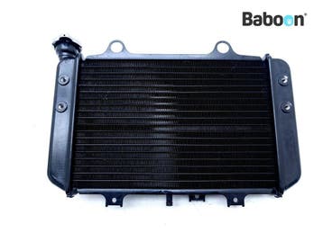 Radiateur BMW G 310 GS 2017-2019 (G310GS K02) (8558350), Motoren, Onderdelen | BMW, Verzenden, Gebruikt
