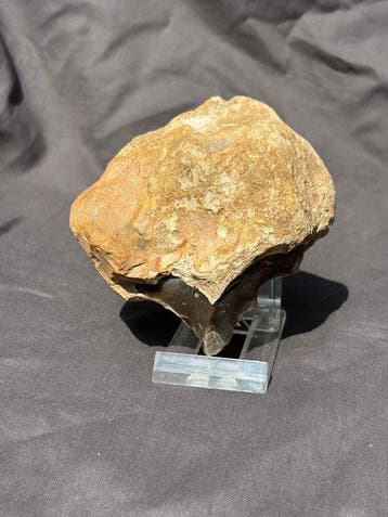 Paleolithisch Priem / Robuuste Boor – Frankrijk (Regio Le