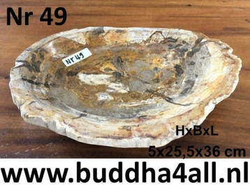 Versteend hout schalen en borden / fruitschalen fossiel hout, Overige materialen, Schaal, Nieuw, Ophalen of Verzenden