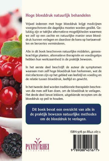 Hoge bloeddruk natuurlijk behandelen 9789088401671, Verzenden, Gelezen, Andrea Flemmer