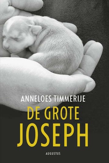 De grote Joseph - Anneloes Timmerije 9789045704142, Verzenden, Gelezen, Anneloes Timmerije