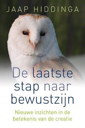 De laatste stap naar bewustzijn - Jaap Hiddinga, Boeken, Verzenden, Zo goed als nieuw, Jaap Hiddinga