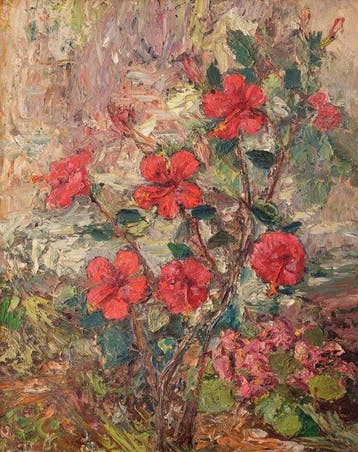 Carlo Aimetti (1901-1980) - Hibiscus rosa-sinensis