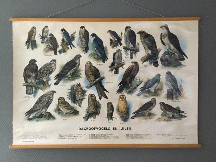 Slijper - W.J. Thieme &CIE - Zutphen - Oude originele, Antiek en Kunst, Kunst | Tekeningen en Foto's