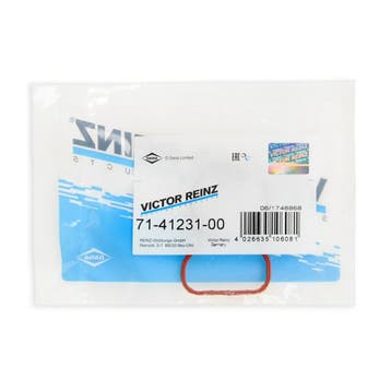 BMW Diesel N57 N57S Wervelkleppen Swirl Flaps Verwijder Kit, Auto-onderdelen, Motor en Toebehoren, Verzenden, Nieuw