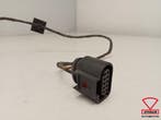 VW Polo VI 2G Parkeersensor Set KabelBoom 2g0971104c, Ophalen, Gebruikt, Volkswagen