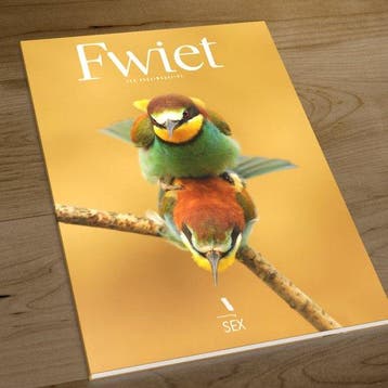 Fwiet - een vogelmagazine / Fwiet / 5 - Jeroen Denaeghel, Verzenden, Zo goed als nieuw, Jeroen Denaeghel