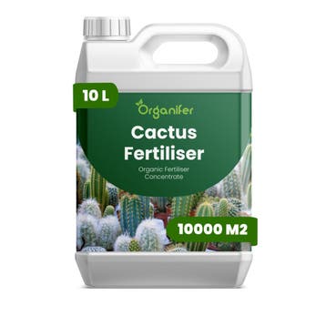 Cactus Vloeibare Meststof - 10 Liter, Verzenden, Mest