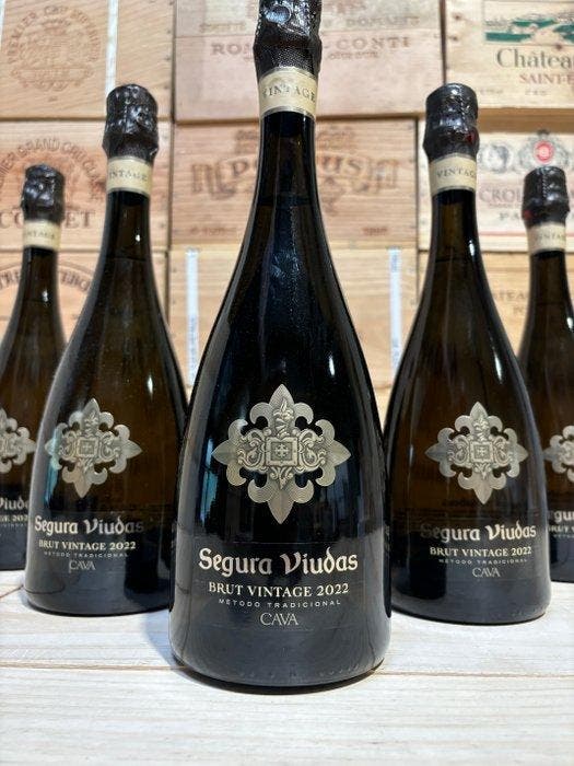 2022 Segura Viudas - Cava Vintage, Brut - 6 Flessen (0.75, Verzamelen, Wijnen
