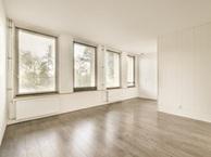 Studio Rogier van der Weydestraat in Alkmaar, Huizen en Kamers, Huizen te huur, Overige soorten, Noord-Holland