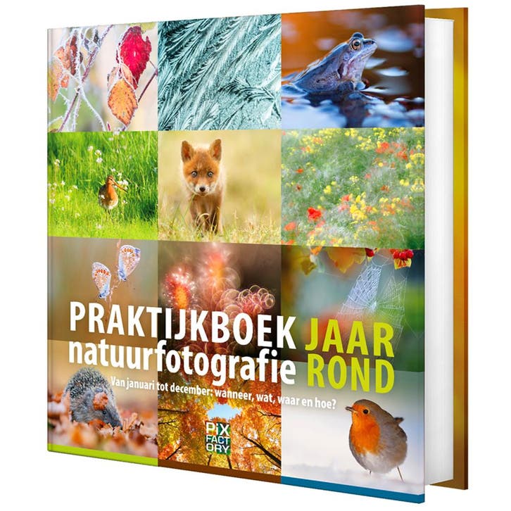 Birdpix Praktijkboek Natuurfotografie Jaarrond, Boeken, Kunst en Cultuur | Fotografie en Design, Nieuw, Ophalen of Verzenden