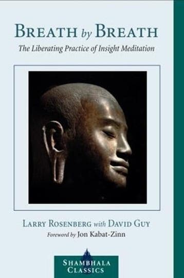 Breath by Breath | 9781590301364 | Larry Rosenberg, Boeken, Ophalen of Verzenden, Zo goed als nieuw, Larry Rosenberg