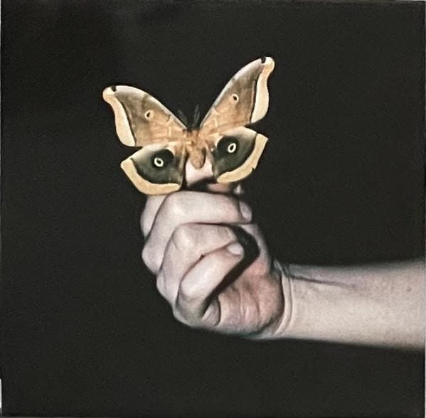 lp nieuw - Soulwax - All Systems Are Lying, Cd's en Dvd's, Vinyl | Rock, Zo goed als nieuw, Verzenden