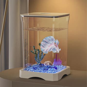 Mini Aquarium Starter Kit voor Betta Vissen & Goudvissen - C, Verzenden, Nieuw