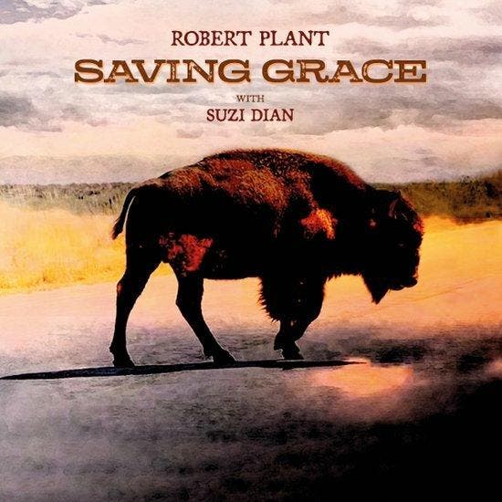 ROBERT PLANT - SAVING GRACE (LP), Cd's en Dvd's, Vinyl | Pop, Verzenden