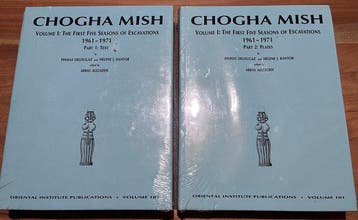 Pinhas Delougaz & Helene J. Kantor - Chogha Mish: The First