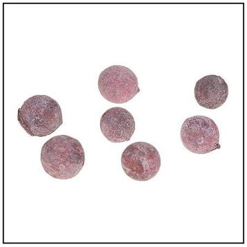 Pal Fruit Terra cotta 200 gram, Ophalen of Verzenden, Nieuw
