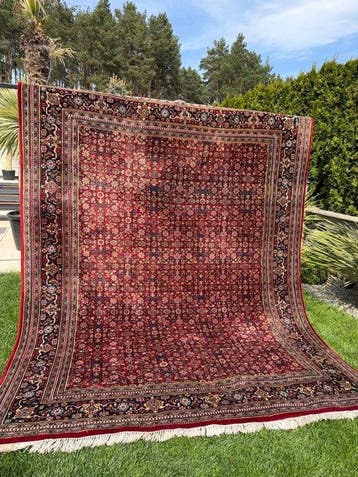 Top Indo Bidjar - Tapijt - 320 cm - 250 cm, Nieuw