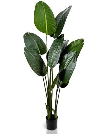 IvoQ Strelitzia Kunstplant 160 cm, Verzenden, Nieuw