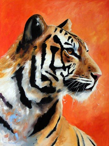 Iwona Kopczyska - Tiger