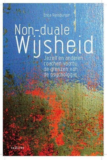 Non Duale Wijsheid | Erica Rijnsburger | Nieuw, Boeken, Ophalen of Verzenden, Nieuw, Erica Rijnsburger
