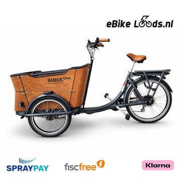 Babboe Curve, E-bakfiets met regenhuif van 2023! Gratis t..., Ophalen of Verzenden, Nieuw, Overige merken