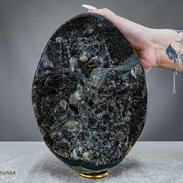 Septarien calciet geode ei – monumentaal luxeobject uit
