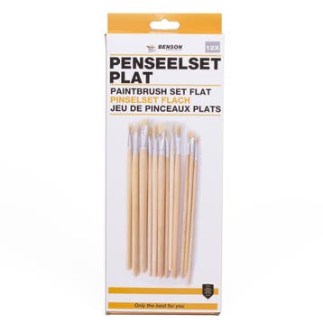 Benson Penseelset - Platte kwasten - 12 maten - Voor jong..., Ophalen of Verzenden, Nieuw