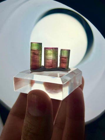 watermeloen-toermalijn Kristalen - Hoogte: 18 mm - Breedte:, Verzamelen, Mineralen en Fossielen
