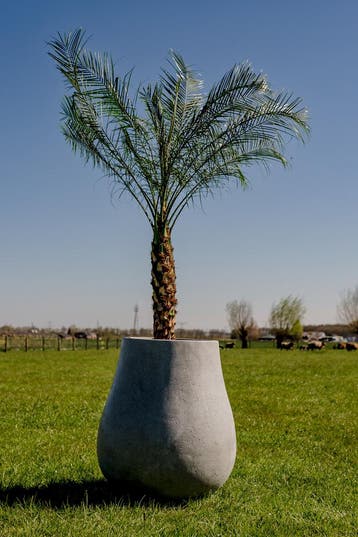 Ash L 71x80 cm Grey, Tuin en Terras, Verzenden, Nieuw, Rond, Beton