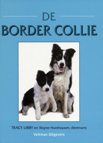 De Border Collie - Tracy Libby 9789048304349, Verzenden, Zo goed als nieuw, Tracy Libby