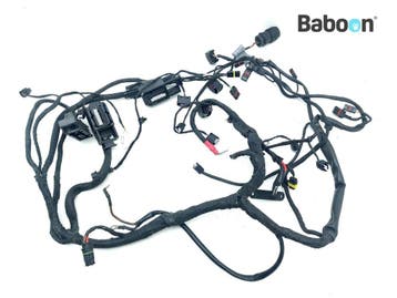 Kabelboom BMW F 800 ST (F800ST) (7680872), Motoren, Onderdelen | BMW, Verzenden, Gebruikt