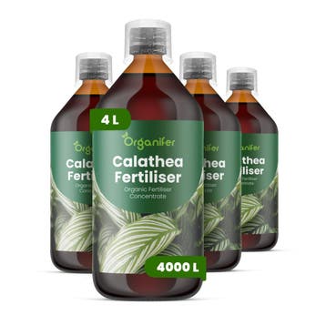 Calathea Vloeibare meststof - 4x1 liter, Verzenden, Mest