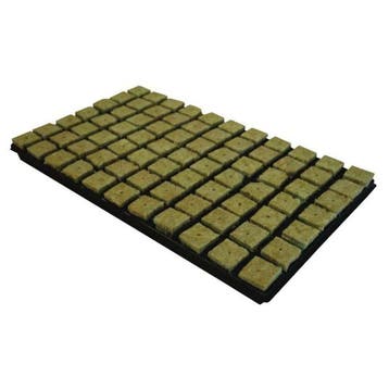 Cultiwool Steenwoltray 4x4 cm 77 st. (per tray), Ophalen of Verzenden