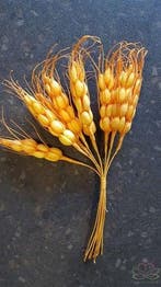 Gerst Foam Oranjegeel bundel ca. 10, Ophalen of Verzenden, Nieuw