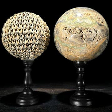 Decoratief ornament - NO RESERVE PRICE - Stunning pair of