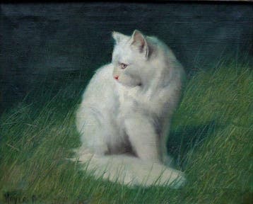Artur Heyer (1872-1931) - White cat in the grass, Antiek en Kunst