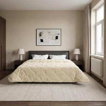 vidaXL Winter Dekbed Crème 200 x 240 cm Microfiber en Teddy, Verzenden, Nieuw