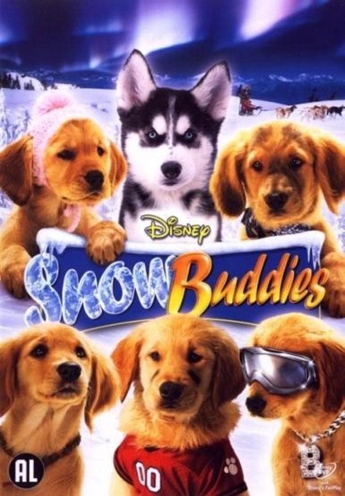 dvd film - Snow Buddies - Snow Buddies, Cd's en Dvd's, Dvd's | Overige Dvd's, Zo goed als nieuw, Verzenden