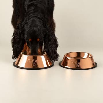 Mooie Hondenvoerbakken &amp; Kattenvoerbakken – Hout &amp; Keramiek, Verzenden, Nieuw