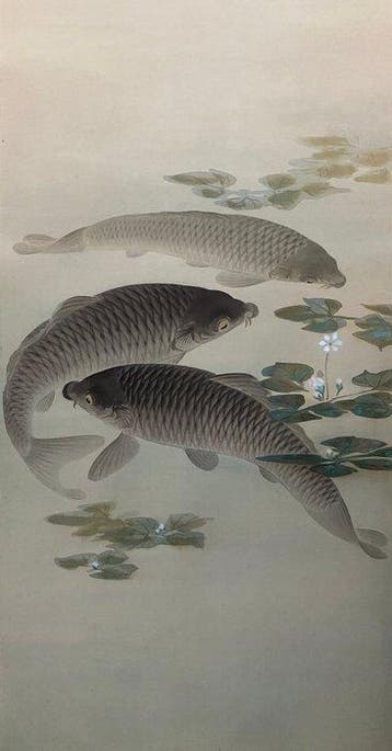 Scroll painting (Kakejiku) / ‘Three swimming carps with