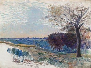 Georges Le Meilleur (1861-1945) - Le bois de Montréal, étude