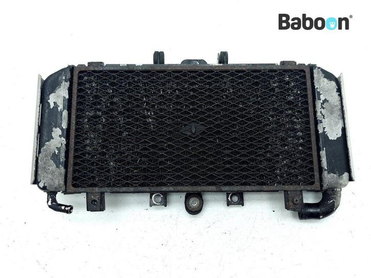 Radiateur Yamaha FZS 600 Fazer 2002-2003 (FZS600), Motoren, Onderdelen | Yamaha, Gebruikt, Verzenden