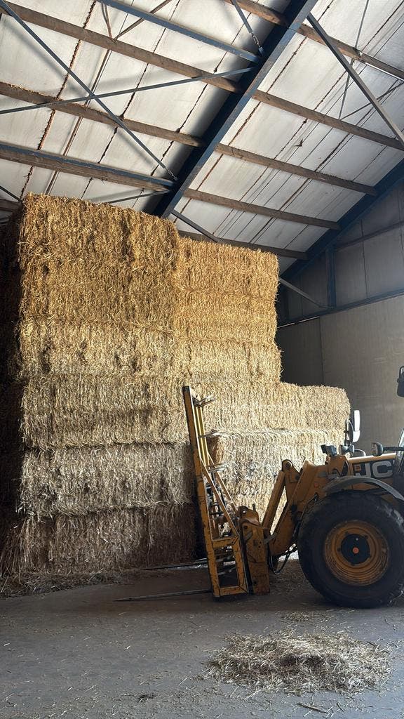 GESNEDEN TARWESTRO – LEVERING DOOR HEEL NL | €170 PER TON, Dieren en Toebehoren, Dierenvoeding, Vee, Verzenden
